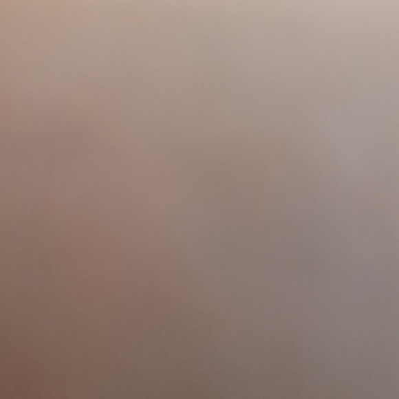 Meet your Posher, Riley - Picture 1 of 1